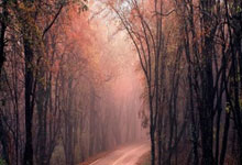 开云首页:深圳马可波罗队篮球运动员进校园开展公益行活动.