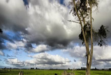 开云网址：英格蘭官方：福登缺戰烏克蘭 被迫接受手術未確認休戰時間！.