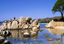 2021-2022賽季歐洲冠軍聯賽八強名單.